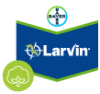 Larvin