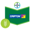 Cripton